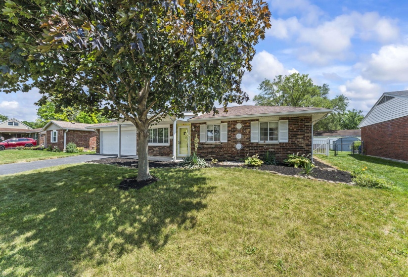 3-web-or-mls-DSC08404