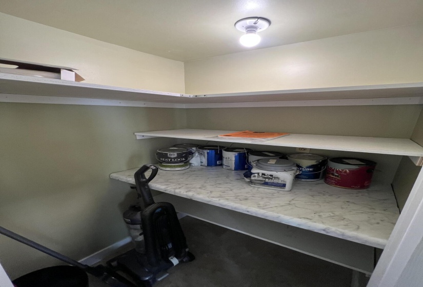 Shelves Inside Corner Pantry
