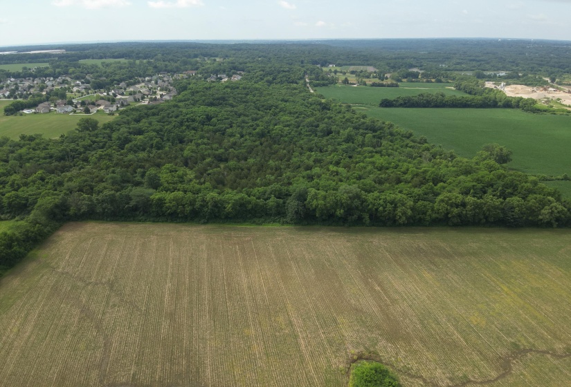 DJI_20250628105930_0004_W