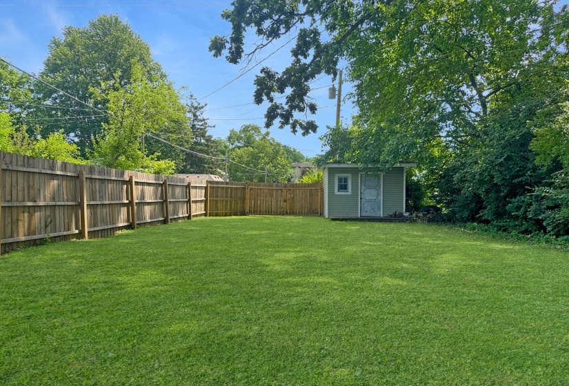 View of the Yard