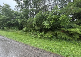 0 Charyl Street, Bellefontaine, Ohio 43311, ,Land,For Sale,Charyl,1039749