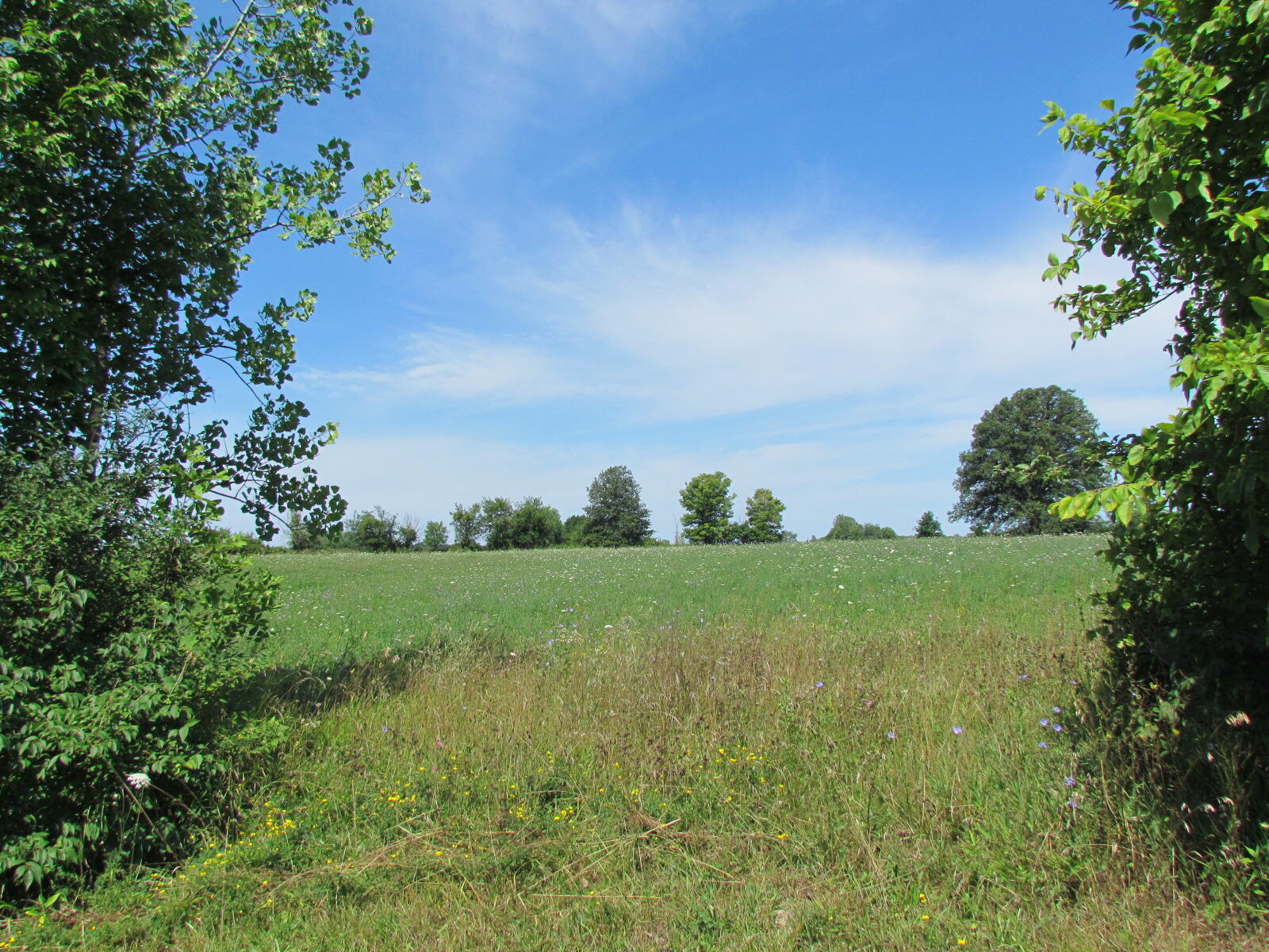 10571 Schenk Road, Sidney, Ohio 45365