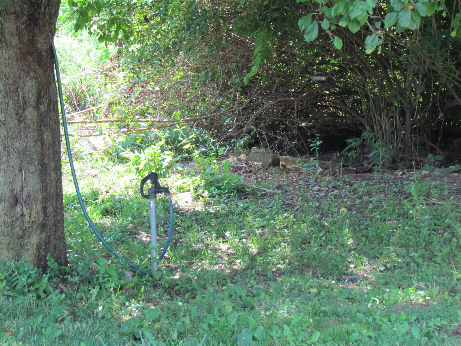 10571 Schenk Road, Sidney, Ohio 45365