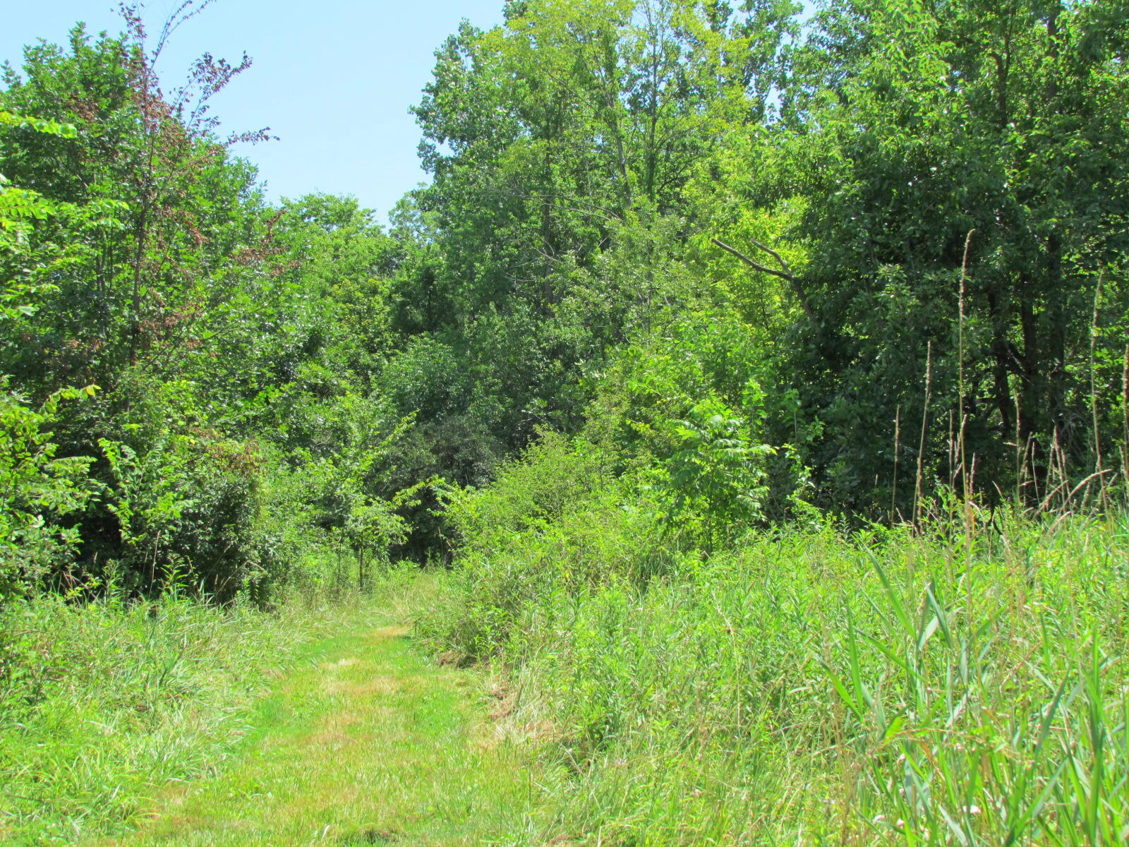 10571 Schenk Road, Sidney, Ohio 45365