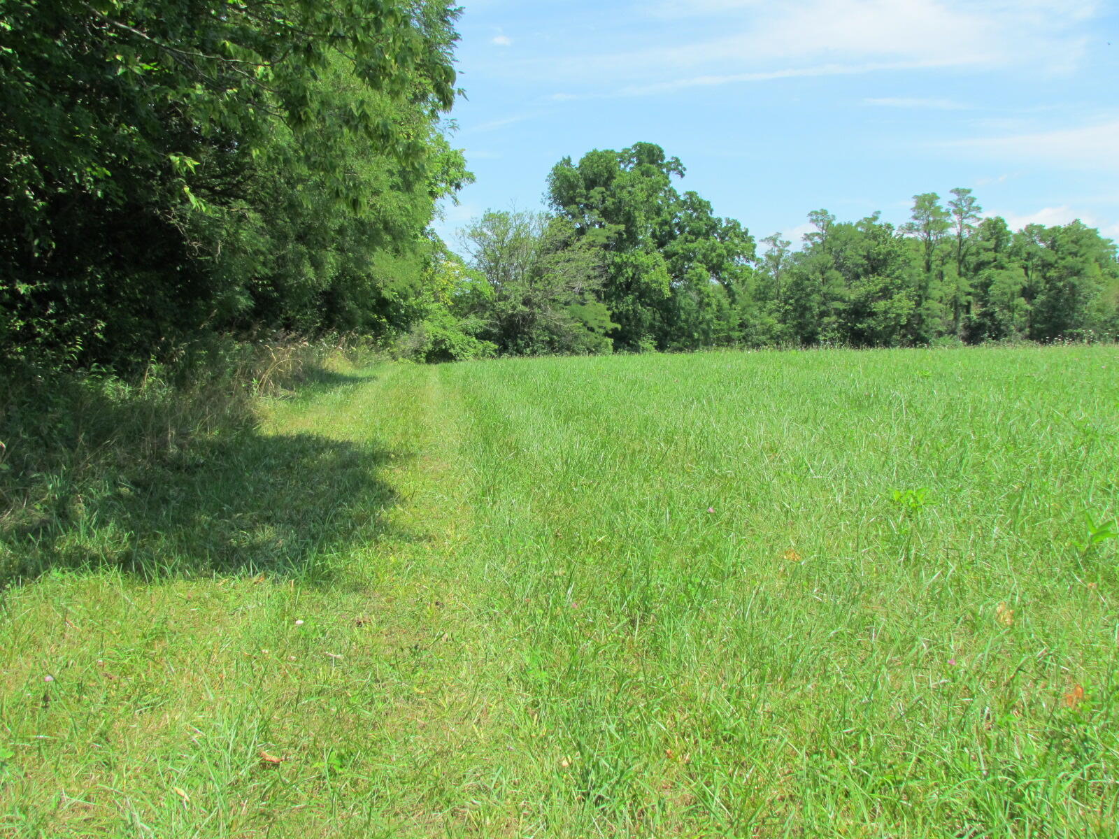 10571 Schenk Road, Sidney, Ohio 45365