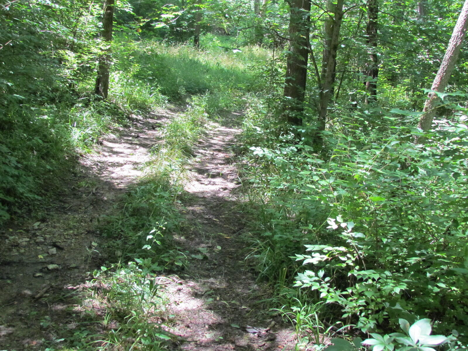 10571 Schenk Road, Sidney, Ohio 45365