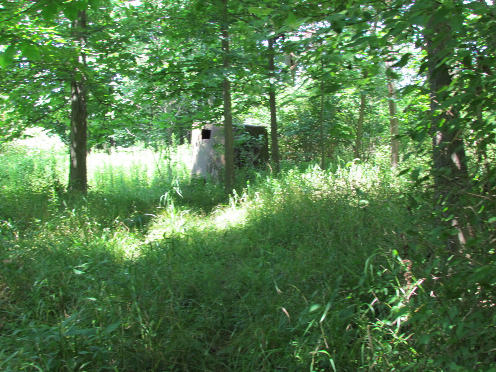 10571 Schenk Road, Sidney, Ohio 45365