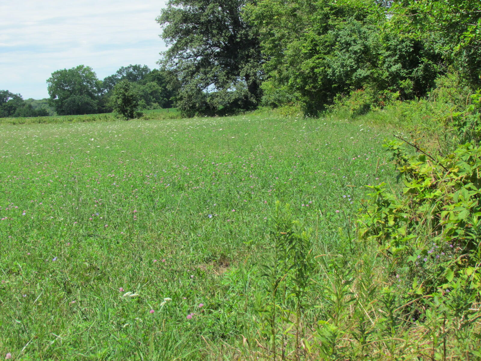 10571 Schenk Road, Sidney, Ohio 45365