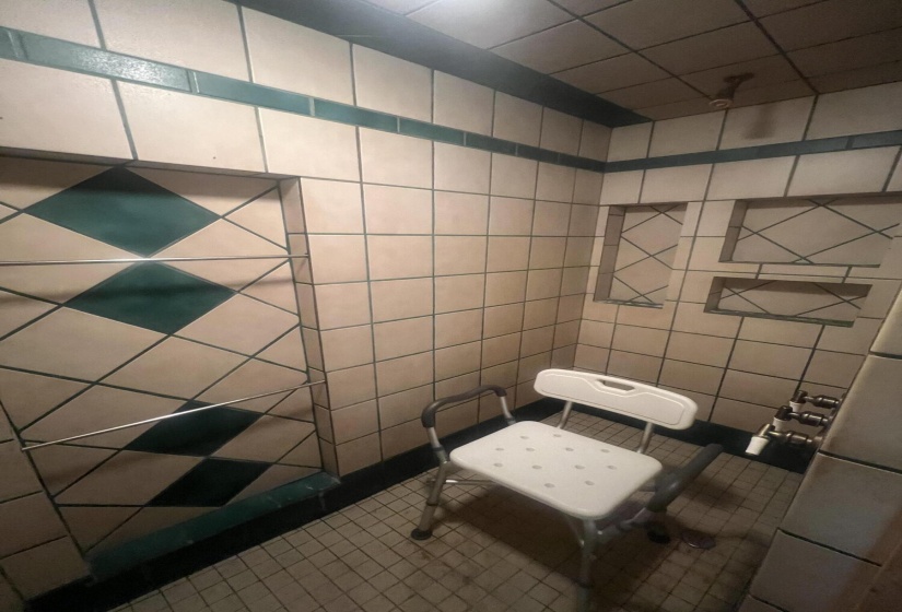 Walk in Shower Bath 1