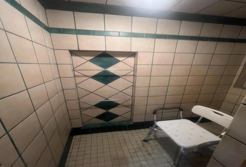 Walk in Shower Bath 1