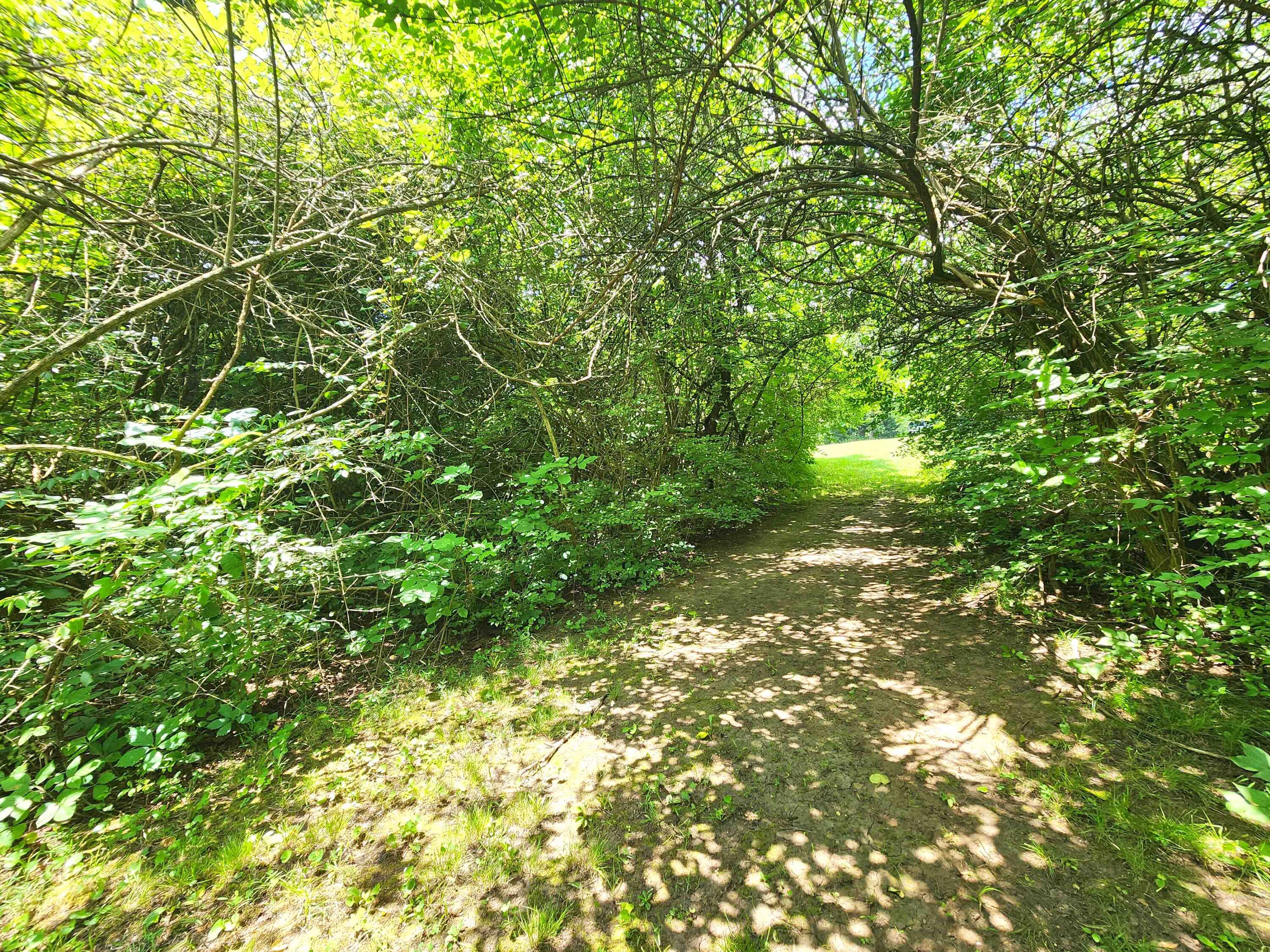 851 County Line Road, Springfield, Ohio 45502