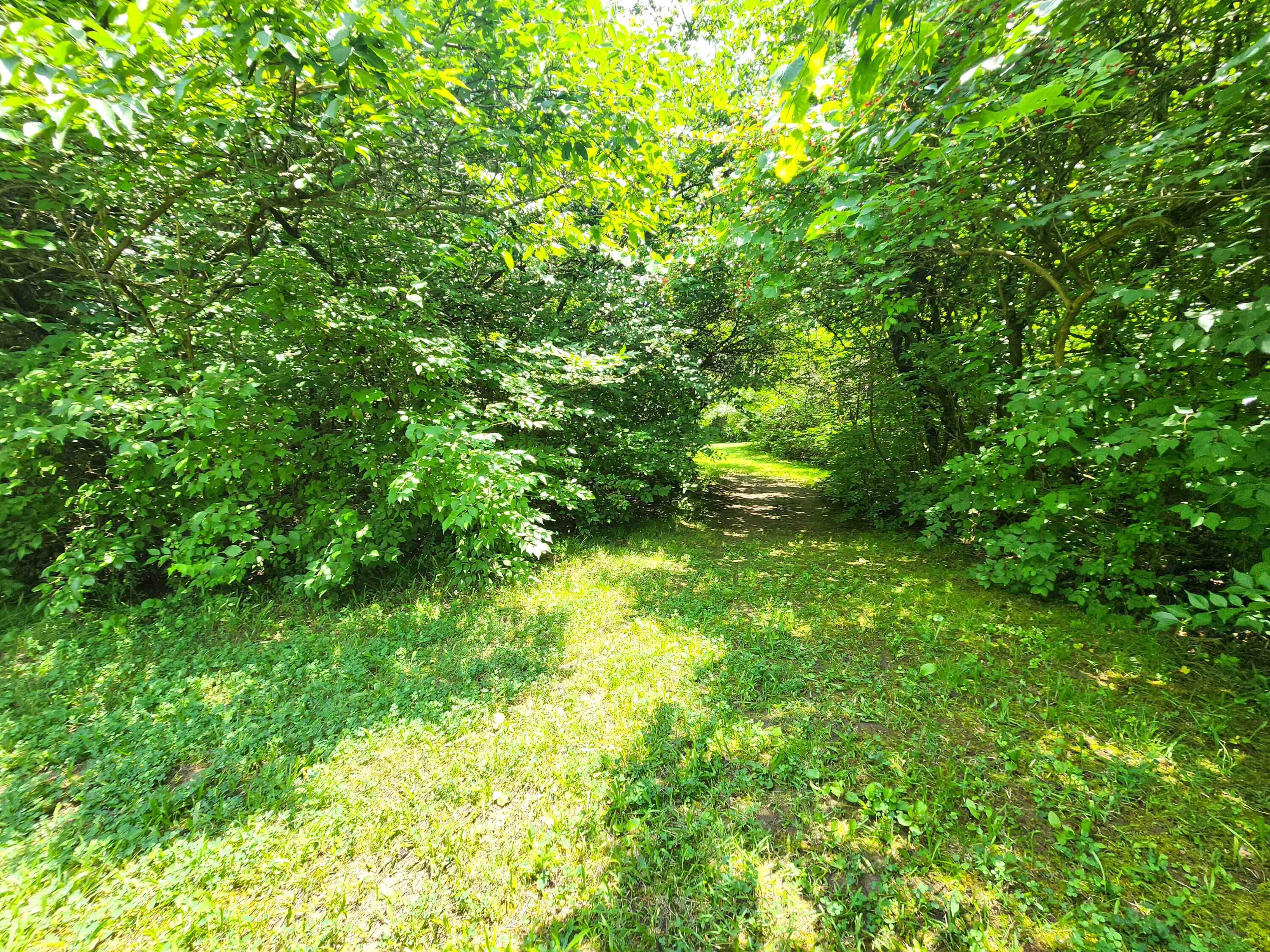 851 County Line Road, Springfield, Ohio 45502