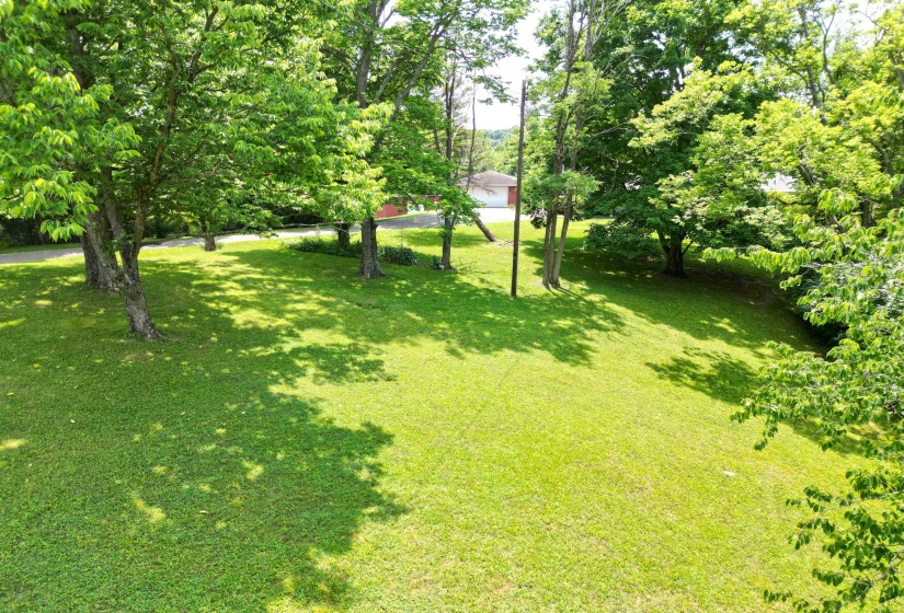 DJI_0390