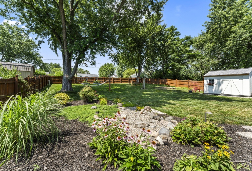 41-web-or-mls-DSC01614