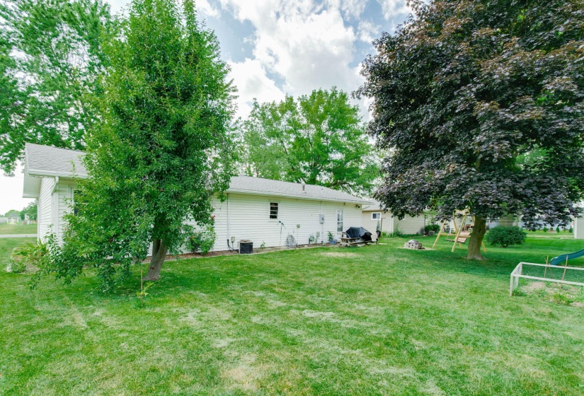back yard 3