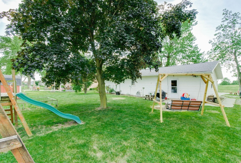 back yard 4