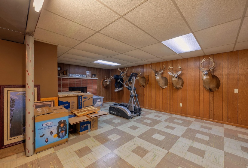 Basement 4