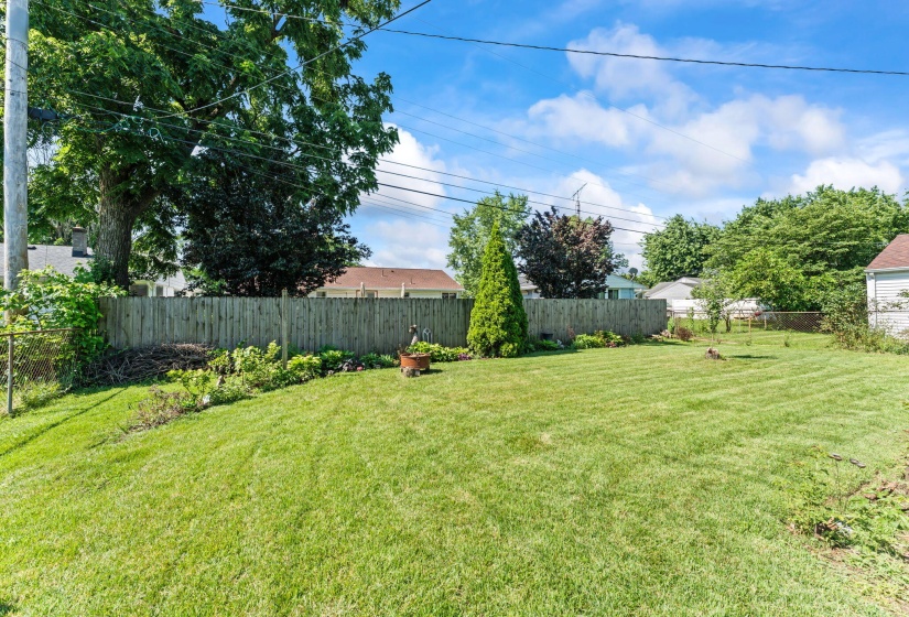50-web-or-mls-DSC00541