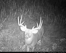 0 Township Road 55, Bellefontaine, Ohio 43311