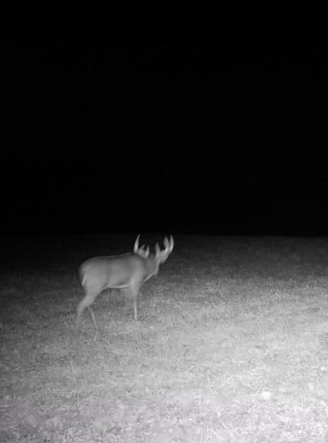0 Township Road 55, Bellefontaine, Ohio 43311