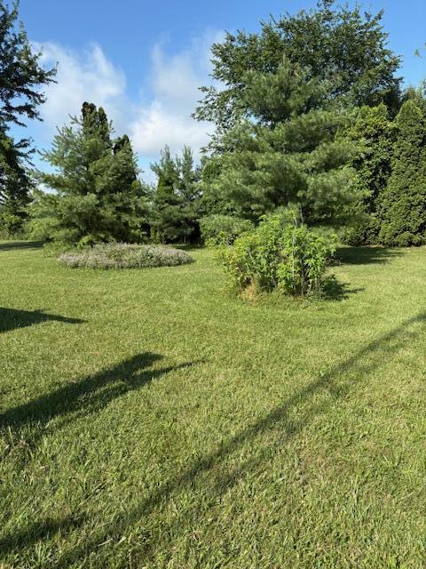 124 Susie Street, Rushsylvania, Ohio 43347
