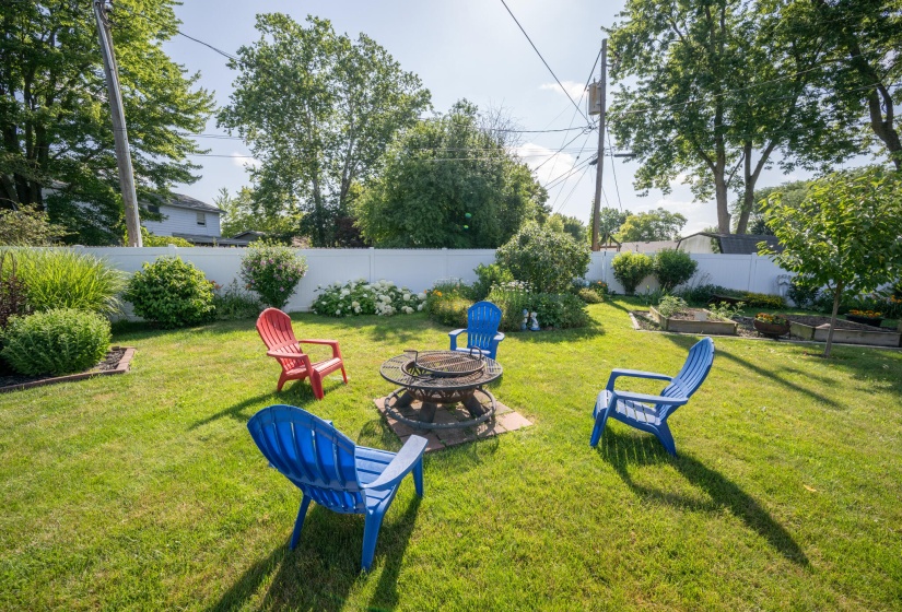 Backyard #2