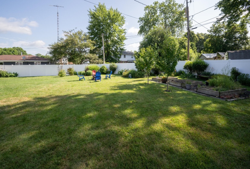 Backyard #4