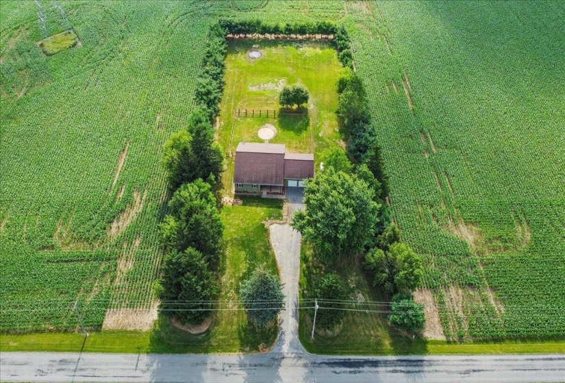 38-DJI_0124