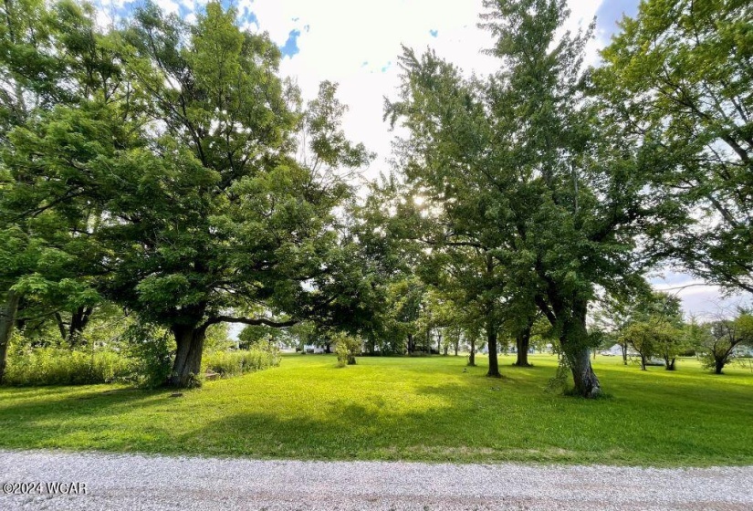 500 Elm Street, Continental, Ohio, ,Land,For Sale,Elm,304648