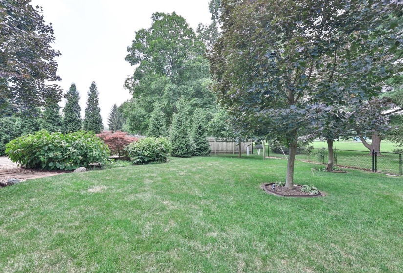 038-Yard-2