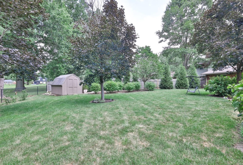 039-Yard-3