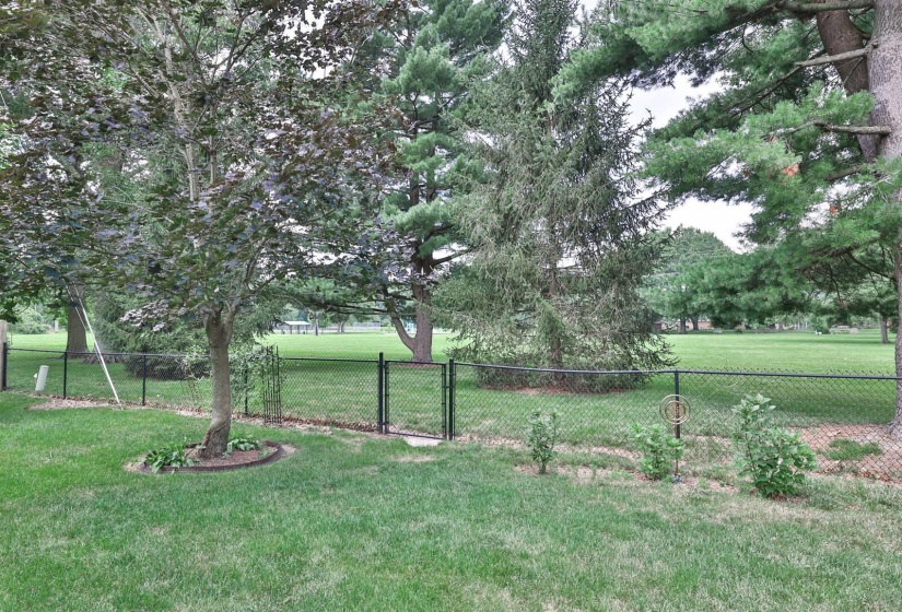 043-View-2