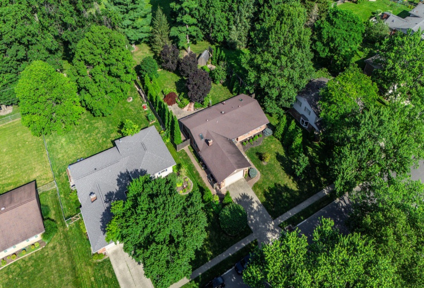 DJI_20250707100426_0008_D
