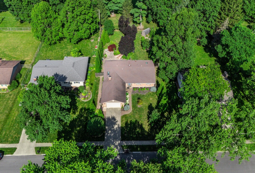 DJI_20250707100334_0004_D