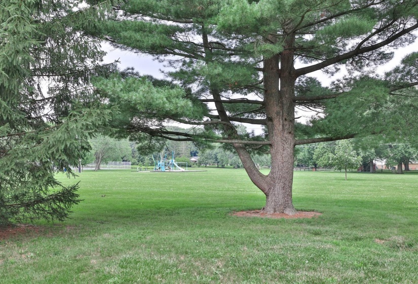 044-View-3