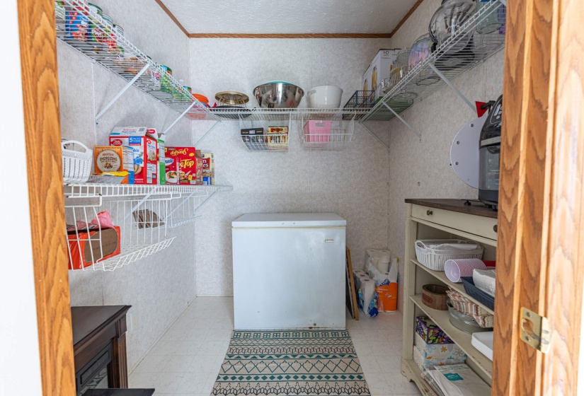 6007 Dolly Varden-13