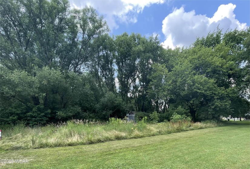 726 Tracy Street, Kenton, Ohio, ,Land,For Sale,Tracy,307613