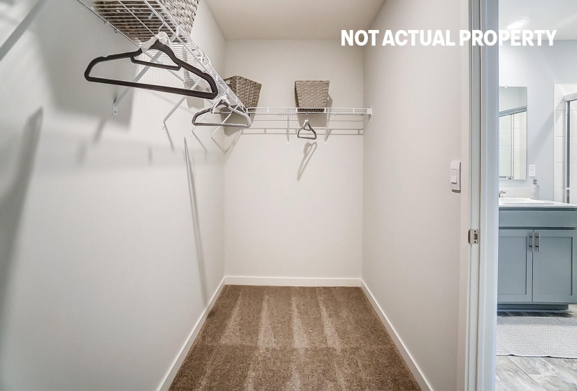 primary walk in closet