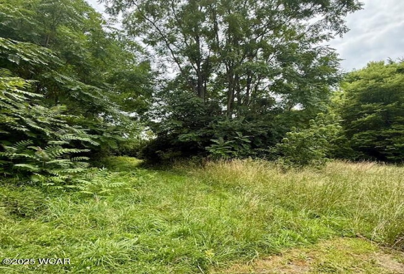 000 Factory Avenue, Kenton, Ohio, ,Land,For Sale,Factory,307619