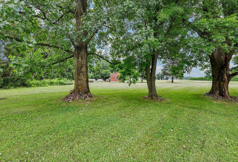 39-web-or-mls-Byrket Rd-S1007-039