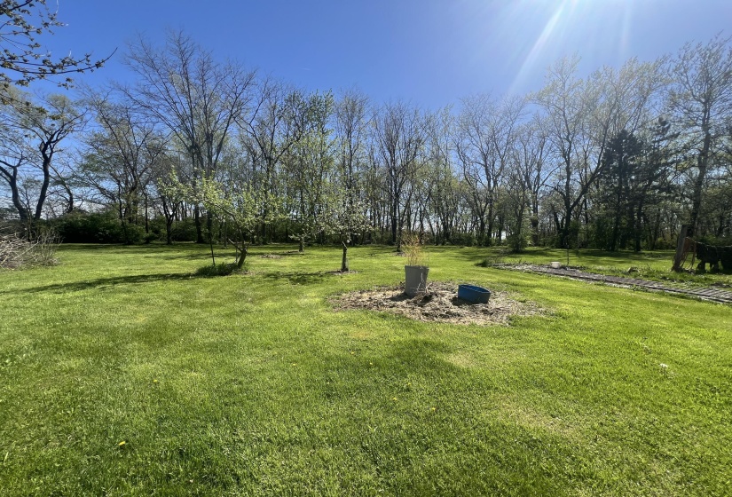 Rear of Lot