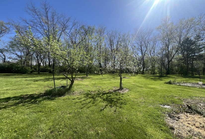 Rear Of Lot