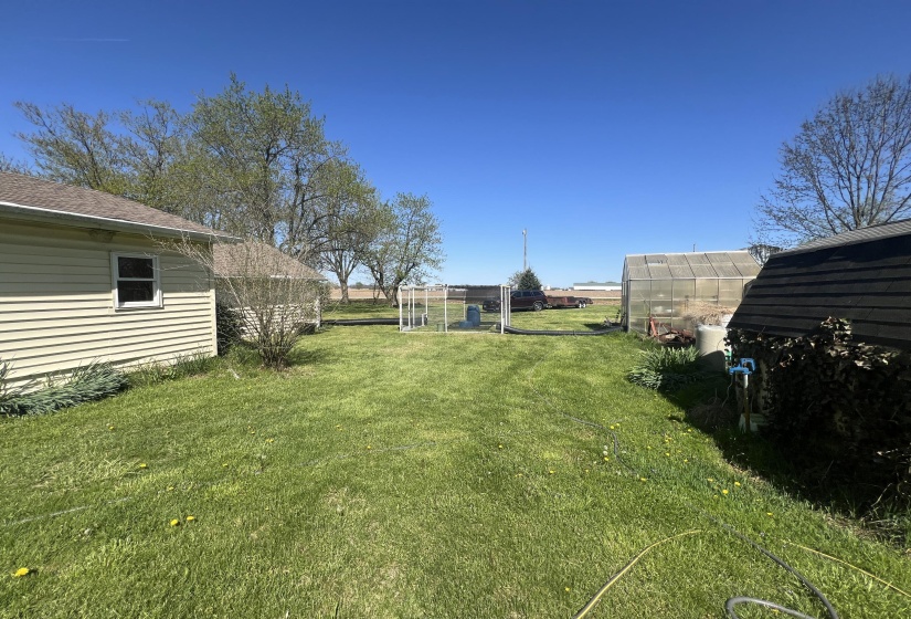 Rear Yard