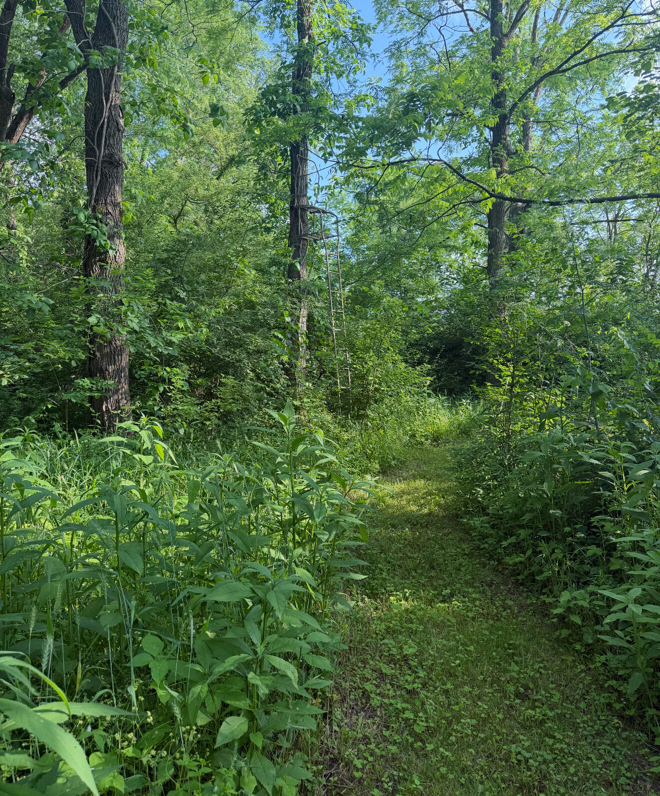 930 Bickett Road, Xenia, Ohio 45385