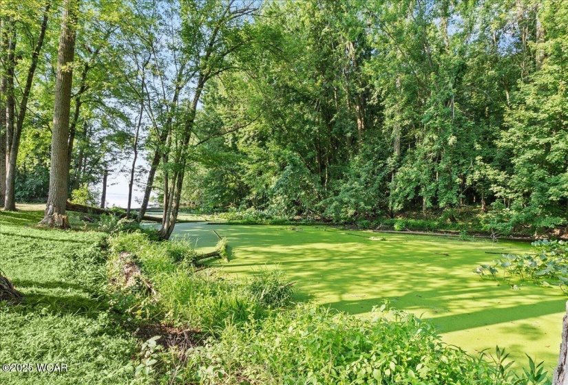 10950 Cherokee Drive, Lakeview, Ohio, 1 Bedroom Bedrooms, ,1 BathroomBathrooms,Residential,For Sale,Cherokee,307650
