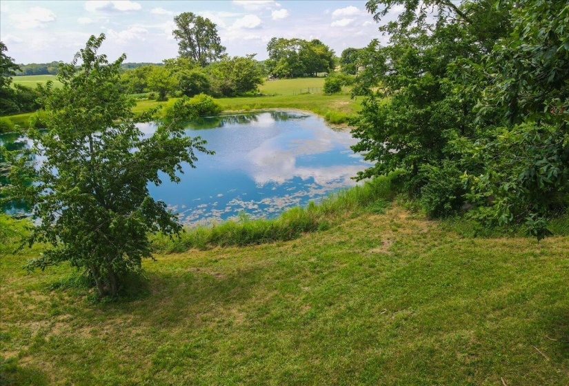 64-Pond