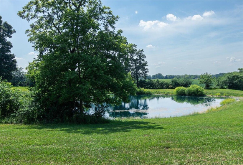 66-Pond