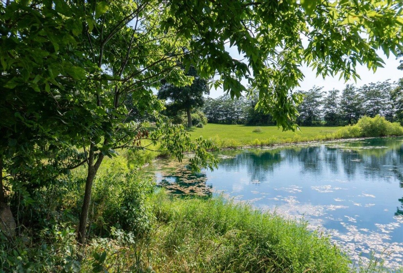 67-Pond