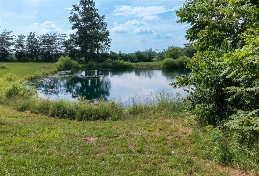 68-Pond