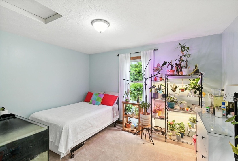 16-web-or-mls-4109-brookston-dr